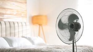 bat quat so to co ton dien hon bat quat so nho khong 225926