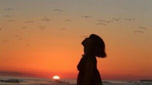 bf6bbf8f75db45b272a1f0688b46d864 29d60dfa990798112358b6cb3bcf1d0a