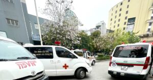 bhyt 3 1776346909103471279457 56 0 1306 2000 crop 17763469200991762476154