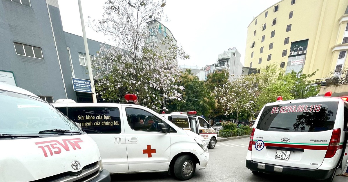 bhyt 3 1776346909103471279457 56 0 1306 2000 crop 17763469200991762476154