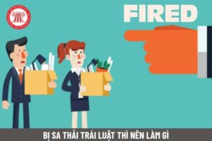bi sa thai trai luat nen lam gi