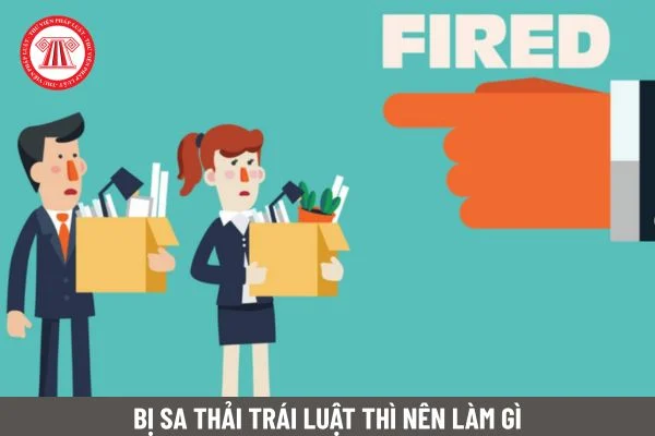 bi sa thai trai luat nen lam gi
