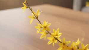 Bình Hoa Nghênh Xuân “Gây Sốt” Dịp Tết 2026: Sắc Vàng Rực Rỡ, Cành Rủ Mềm Mại Vừa Sang Trọng Vừa Hút Tài Lộc Binh Hoa Nghenh Xuan Gay Sot Dip Tet 2026 Sac Vang Ruc Ro Canh Ru Mem Mai Vua Sang Trong Vua Hut Tai