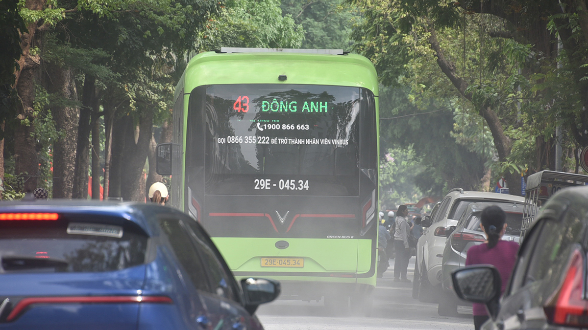 bui dao duong