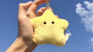 C2Bb74Ccff6F5E9Cf69482Acacd2Ec91 14