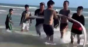 ca ho rong dai hon 4m dat vao bo bien nguoi dan chon cat theo phong tuc 1597