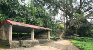 ca lang o thanh hoa bao ve gieng co tet den lai ra lay nuoc cau may 1411