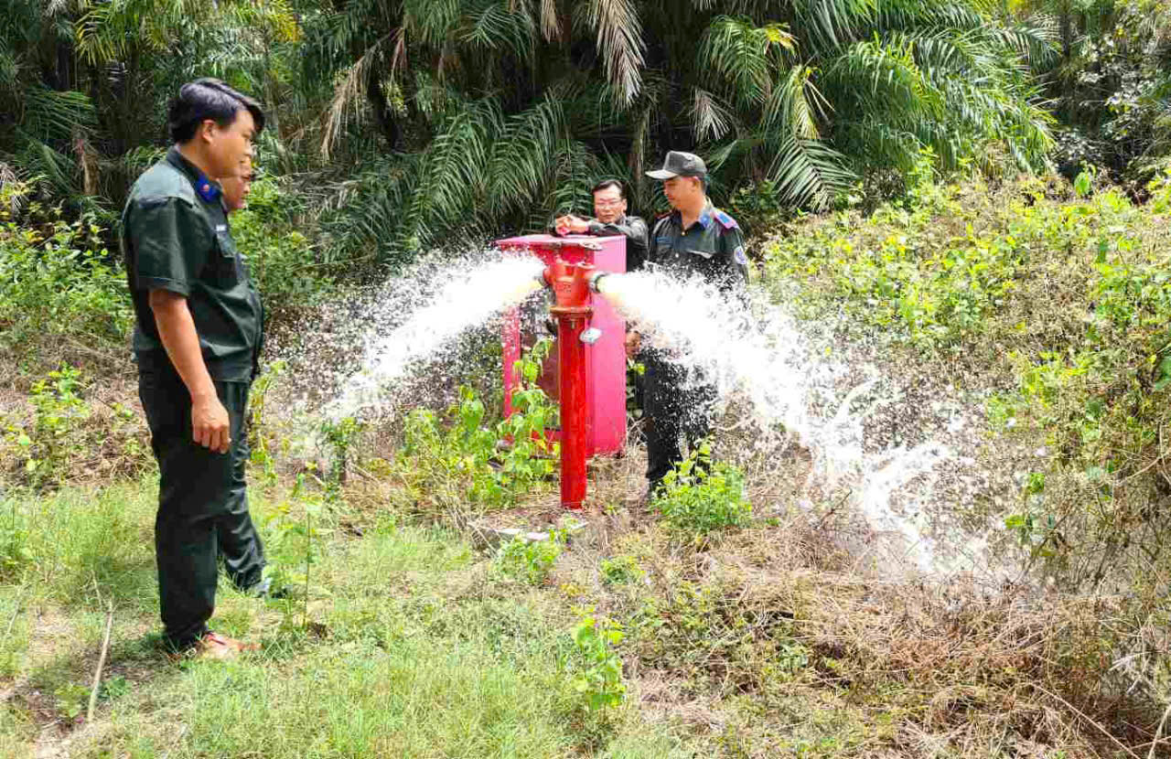 ca mau 1
