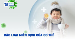 Các loại miễn dịch trong cơ thể: Vai trò và cơ chế hoạt động - Bệnh viện Đa khoa Tâm Anh 1 cac loai mien dich trong co the phan loai va co che hoat dong