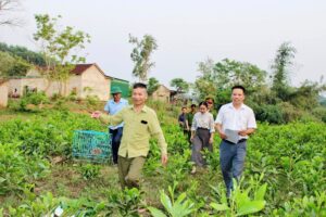 cac luc luong dua con culy di tha vao rung tu nhien