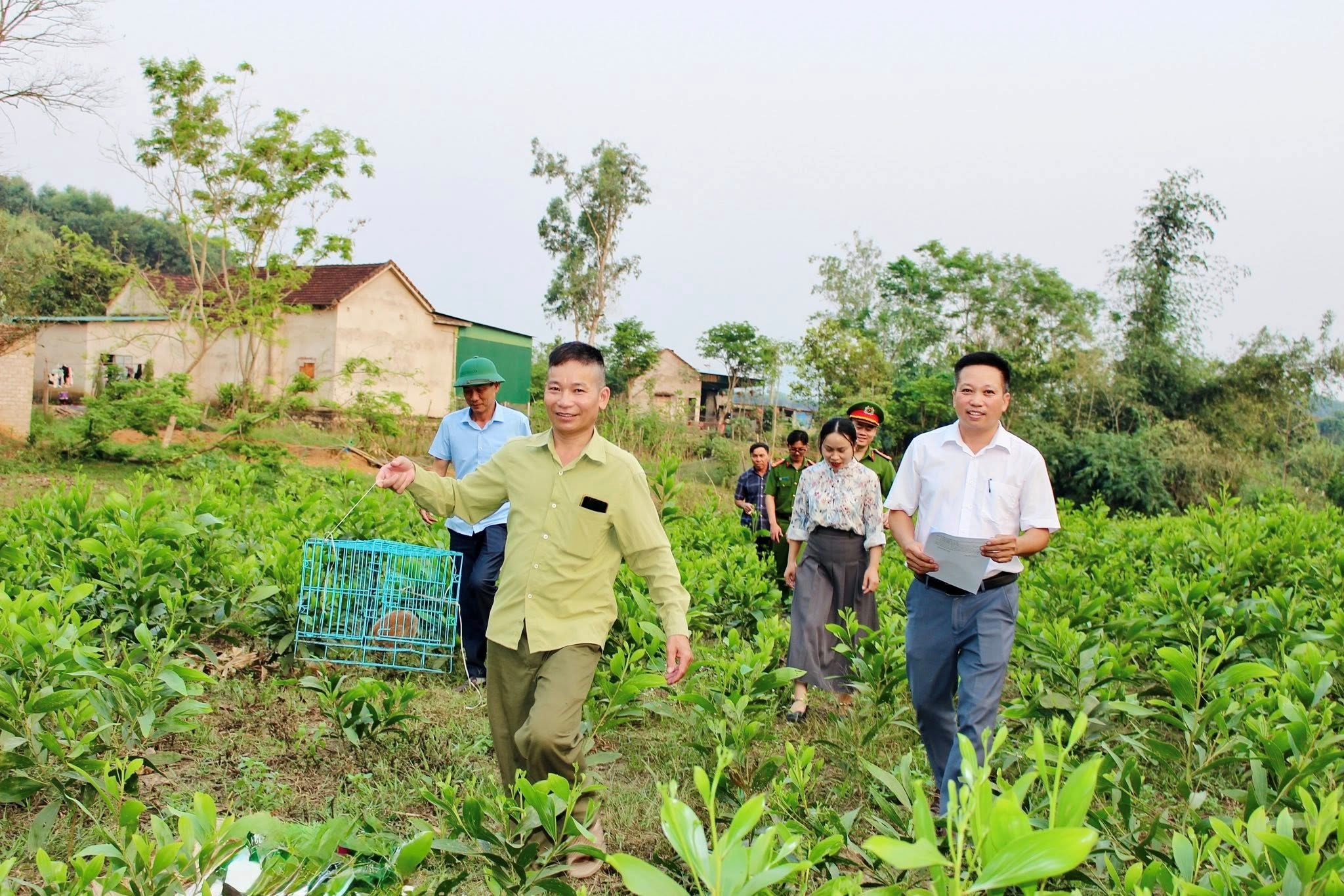 cac luc luong dua con culy di tha vao rung tu nhien