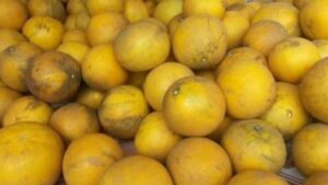 cach bao quan buoi sau tet tuoi den 6 thang khong hong 133044