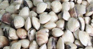 Cach Bao Quan Ngao 1 17670026963451190207331 1767102323698 17671023243481570134367 0 0 375 600 Crop