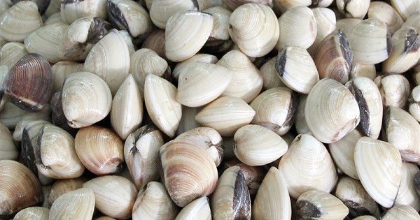 Cach Bao Quan Ngao 1 17670026963451190207331 1767102323698 17671023243481570134367 0 0 375 600 Crop