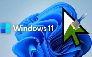 Cach Doi Con Tro Chuot Tren May Tinh 1