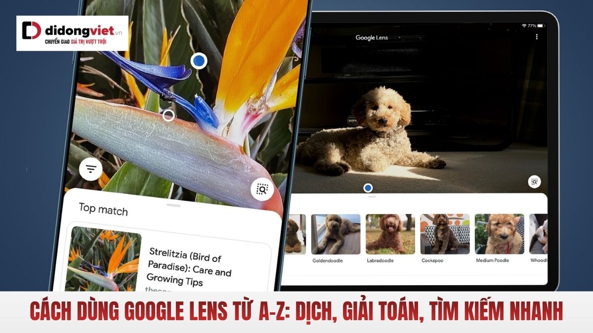 Cach Dung Google Lens Thumbnail Didongviet