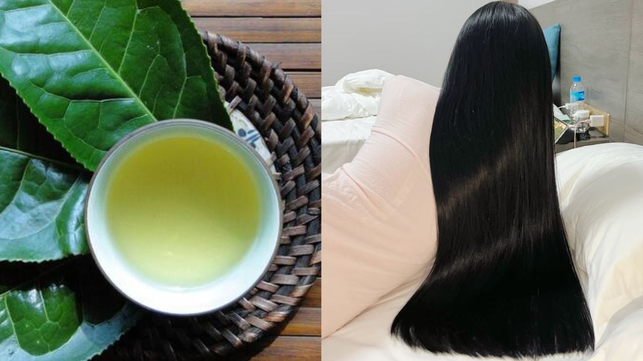 cach goi dau bang nuoc che xanh tra xanh giup giam gay rung toc con moc tua tua 225650