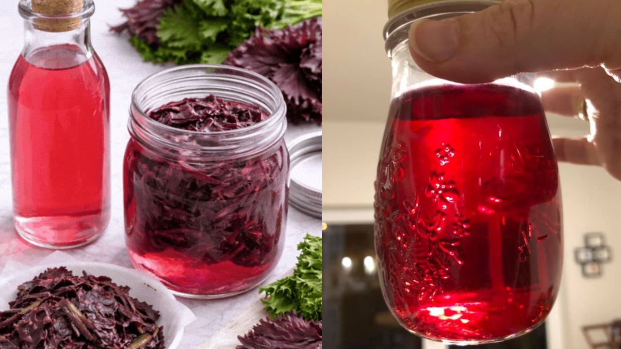 cach lam giam tia to vua dep mat thom ngon vua tot cho tieu hoa giup dep da 231332