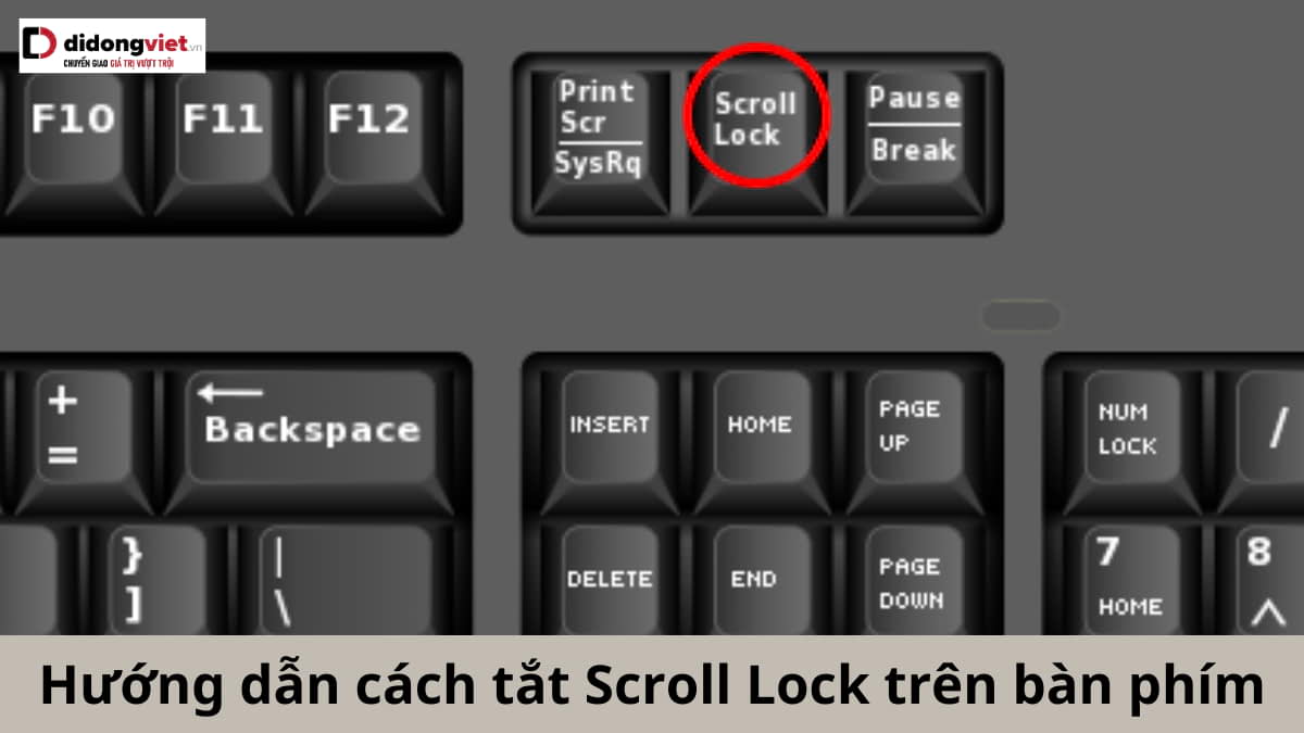Cach Tat Scroll Lock Tren Ban Phim Di Dong Viet