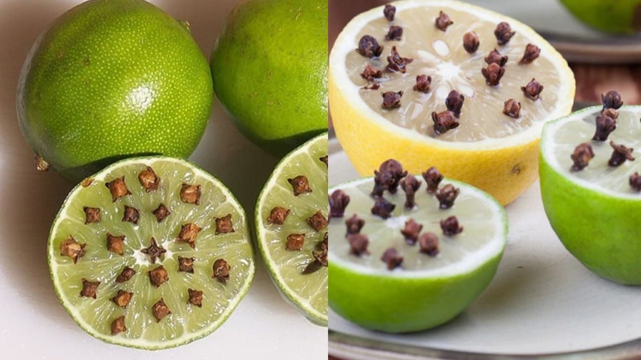 cam thu nay vao qua chanh va dat o goc nha muoi nhieu may cung het sach 234619