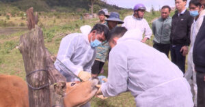 canh bao virus lo mom long mong la co nguy co xam nhap viet nam 973