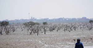 canh tuong bat thuong ven bien ha tinh chua tim ra nguyen nhan 843