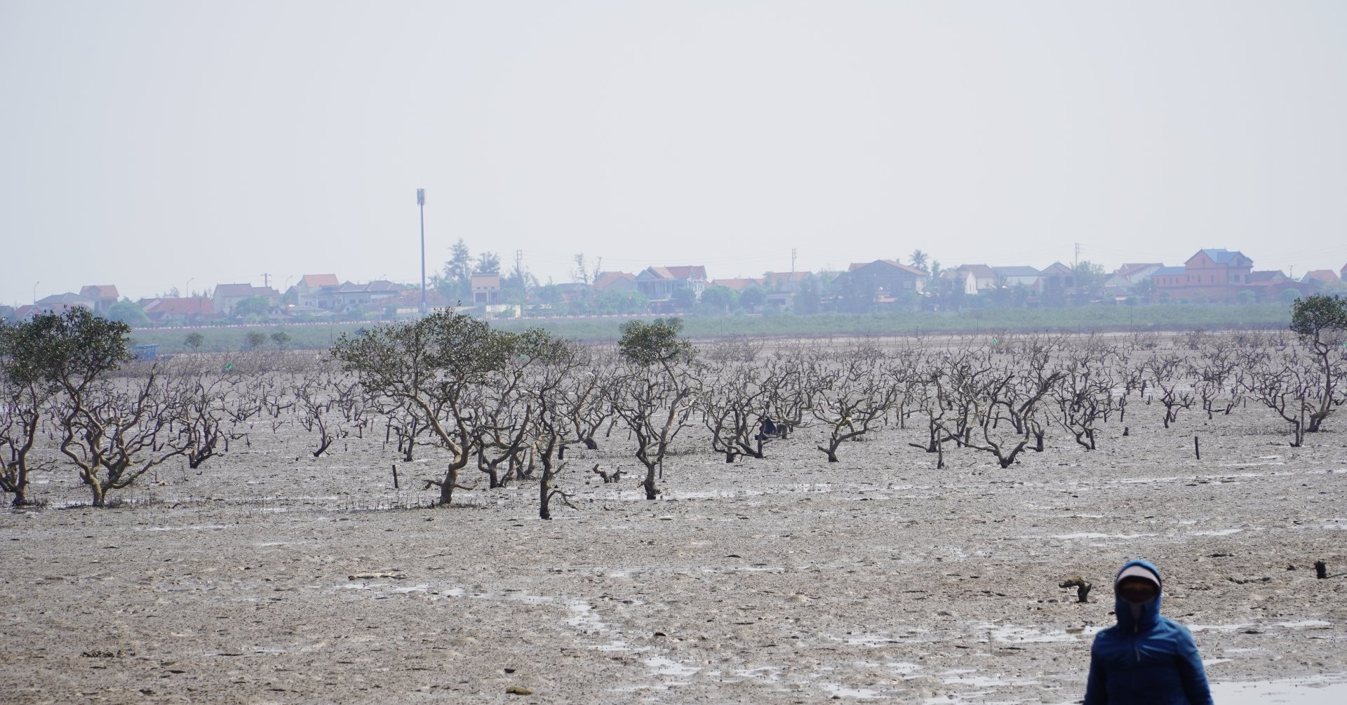 canh tuong bat thuong ven bien ha tinh chua tim ra nguyen nhan 843