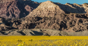 canh tuong hiem thay o thung lung chet sau 10 nam 3010