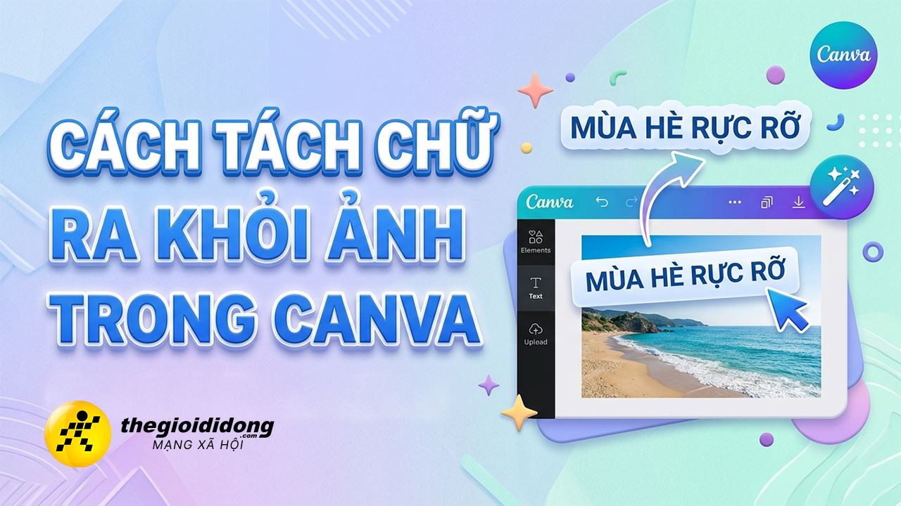 canva 9o0 12 090po iko plo639114305508002609