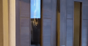 cap doi chi em bien tiec sinh nhat thanh dam cuoi khien nguoi than dung hinh 752