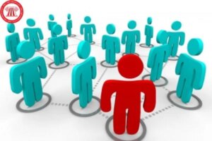 cap lai cho thue lai