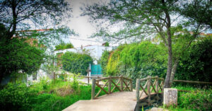 Cây Cầu Xuyên Quốc Gia Nào Ngắn Nhất Thế Giới? 2 Cay Cau Xuyen Quoc Gia Nao Ngan Nhat The Gioi 2715