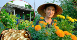 chang trai roi pho ve que dung nha la 40m2 xay khu vuon dep me man 1829