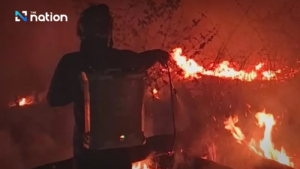 chay rung o mien bac thai lan. anh the nation