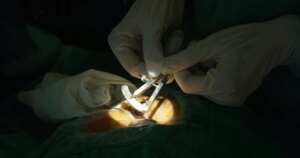 chet nao 1771849791024652416820 86 0 1336 2000 crop 17718497960361016284386