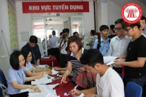 Cho Thue Lai Lao Dong 12 Thang