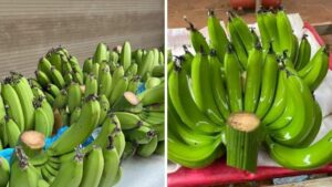 Chon Chuoi Thap Huong Ngay Tet 5 Dieu Nen Tranh De Khong Hao Loc Den Dui Trong Nam Moi 160823