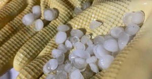 clip mua da lop bop tai nhieu phuong o quang ninh gay chu y 1342