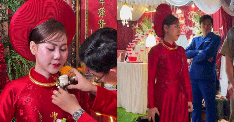 co dau ca mau meu mao vi mat 6 chi vang duoc tang tiet lo tinh hinh hien tai 17