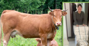 co gai di lam xa bi om xuc dong nhan kien hang dac biet tu que nha 1698