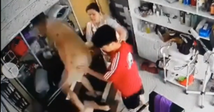 cong an vao cuoc vu nguoi phu nu om tre nho bi hanh hung lien tiep o ha noi 2967