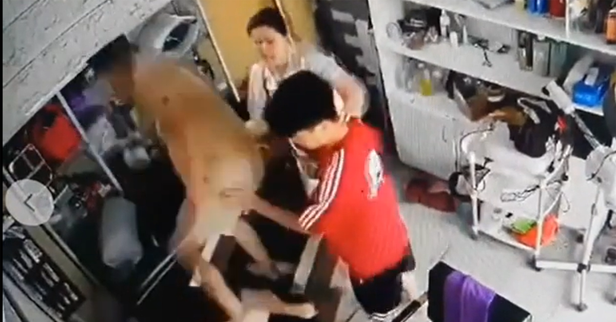 cong an vao cuoc vu nguoi phu nu om tre nho bi hanh hung lien tiep o ha noi 2967