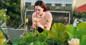 ‘Cõng bùn' lên sân thượng, 9X Quảng Ninh biến mái nhà thành vườn sen thơm ngát 1 cong bun len san thuong 9x quang ninh bien mai nha thanh vuon sen thom ngat 3107