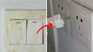 Cong Tac Dien Trong Nha Bam Ban Dung Lau Bang Nuoc Lau Bang Thu Nay Vua Sach Bong Lai An Toan 164357