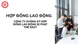 cong ty khong ky hop dong lao dong bi phat the nao