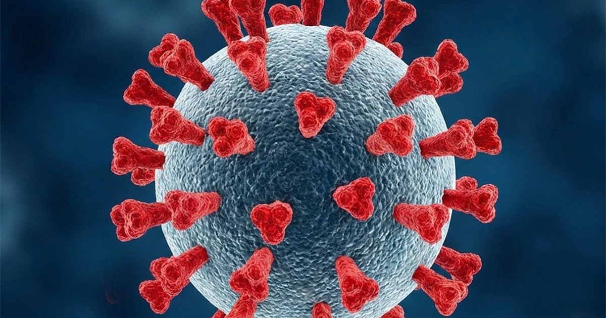 Covid 19 17695576030401073353779 39 0 679 1024 Crop 1769558999531395336520