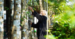 Cu Ong 98 Tuoi Ke Chuyen Mo Loi Nghe Tram Dua Xa Ngheo Thanh Thu Phu Tram Ty 10