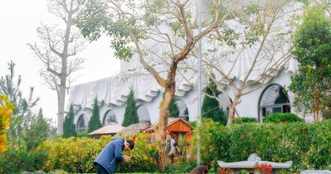 cung tet thanh minh nam 2026 ngay gio nao dep 204