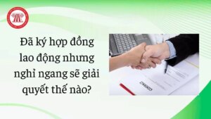 da ky hop dong lao dong nhung nghi ngang