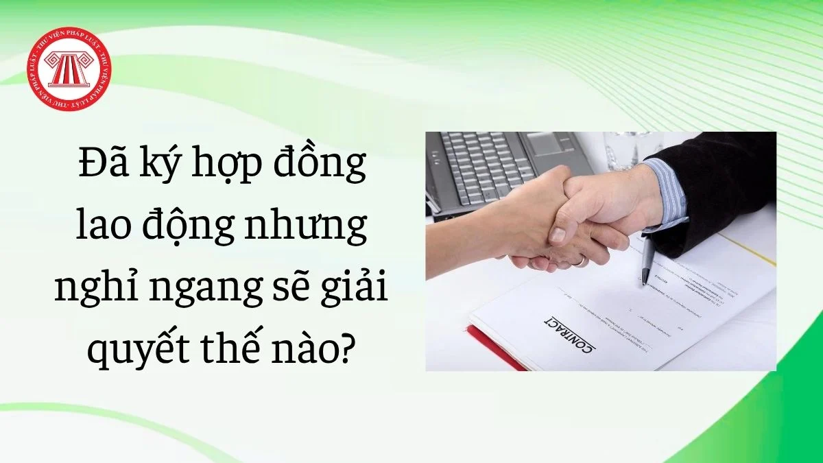 da ky hop dong lao dong nhung nghi ngang